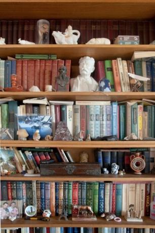 Boekenkast met talrijke standbeelden.