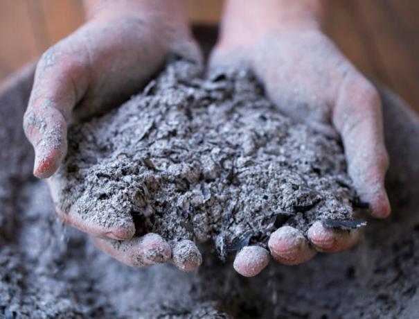 Meststof voor zaailingen - wat te kiezen en hoe de planten te voeden