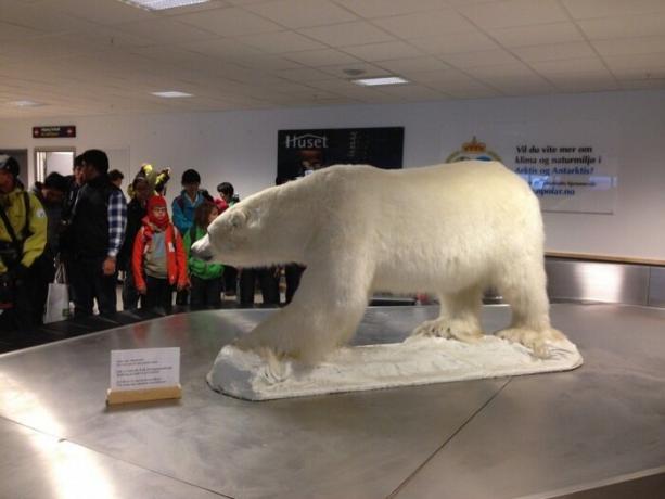 De luchthaven voldoet aan alle reizende symbool van de stad - de ijsbeer.