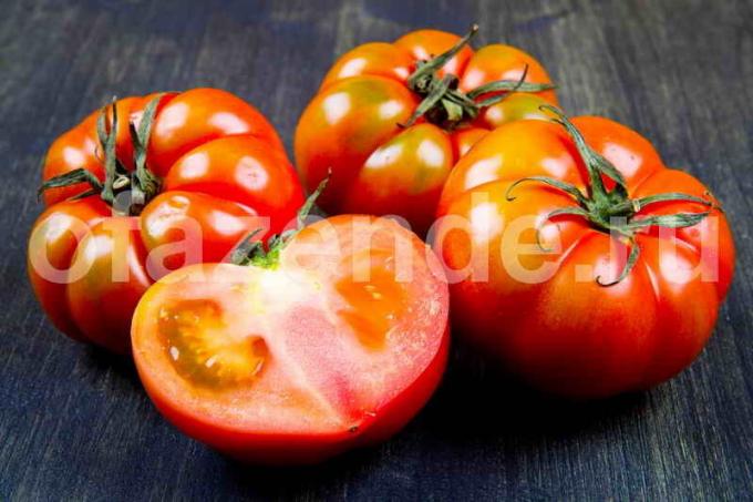 Om snel bloosde tomaten
