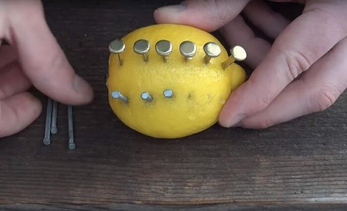  Lemon - een mysterieuze citrus dat niet alleen vitaminen kan behagen. / Foto: s1.dmcdn.net. 