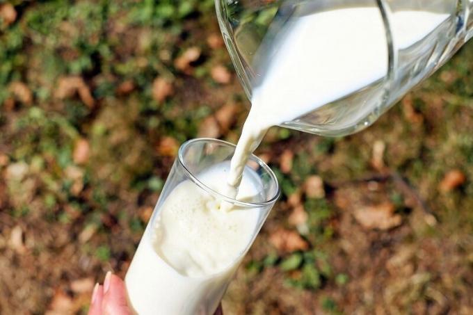 Voordelen Garden melk. Illustratie voor een artikel gebruikte open source