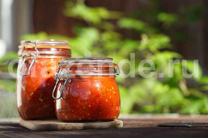 Recept salsa saus. Illustratie voor een artikel wordt gebruikt voor een standaard licentie © ofazende.ru