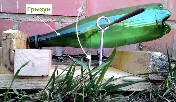Het wegwerken van de muizen met behulp van een zelfgemaakte val van plastic fles