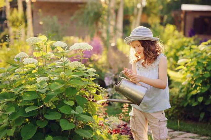 Watering bloemen. Illustratie voor een artikel wordt gebruikt voor een standaard licentie © ofazende.ru