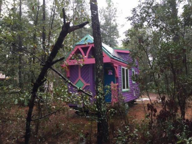 Bright huis in het bos.