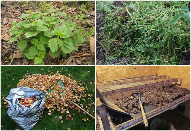Composteren in de herfst, zozeer zelfs dat het te gebruiken, zelfs voor het planten in het voorjaar (Cool kunstmest in slechts 3 maanden!)