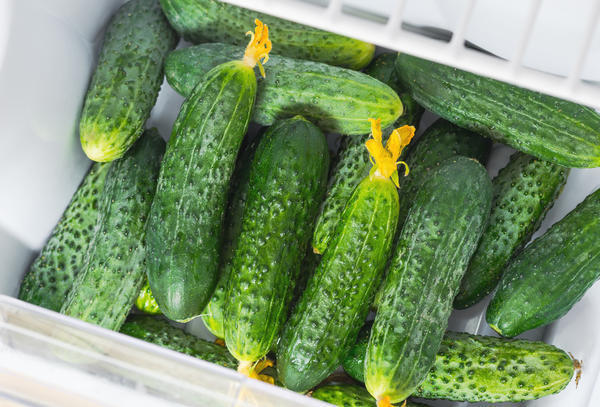 Gele bloeiwijzen van komkommers, zoals op de foto, moeten worden verwijderd