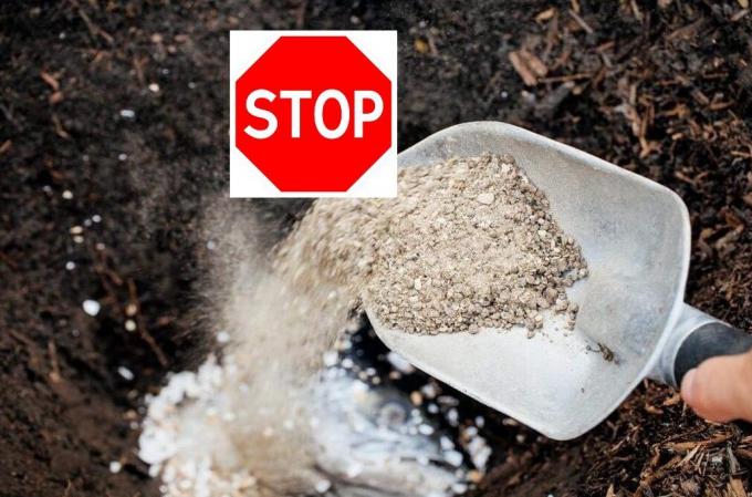 Waarom ik weigerde om superfosfaat gebruiken in uw tuin en hoe het kan gevaarlijk zijn
