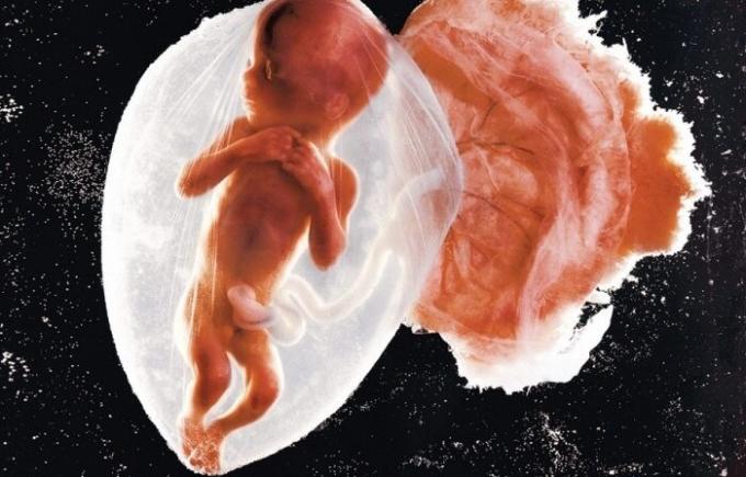 Eerste Foto kindje embryo.
