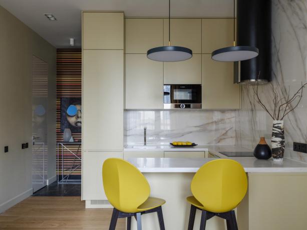 We maken het interieur van de keuken-woonkamer: 8 essentiële dizaynhakov