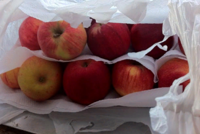 Hoe maak je appels vers voor de winter thuis te houden