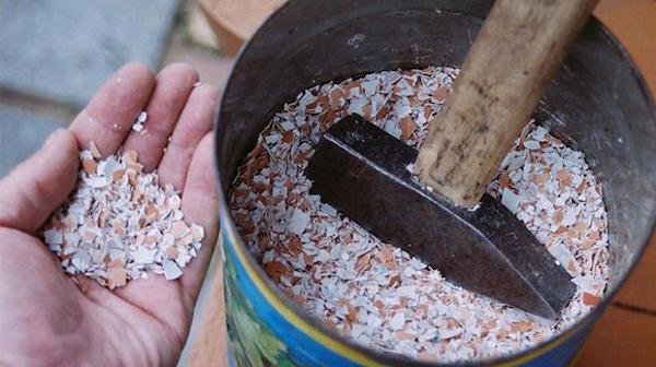 4, een werkwijze voor het gebruiken eierschalen in de tuin