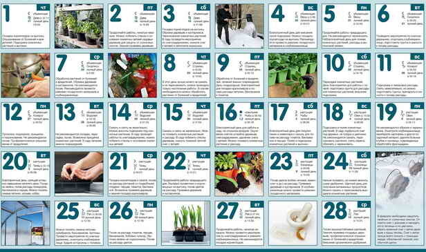 Tuinieren Kalender voor februari ...