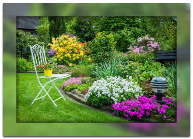 5 makkelijke plant voor de "luie" tuin, die zorg zal dragen voor de schoonheid van zelf uw site