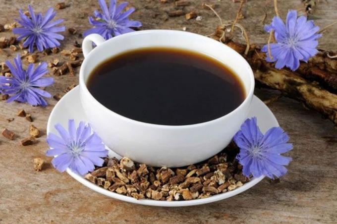 Drink cichorei in plaats van koffie in de ochtend. Waarom ouderen moeten gaan over dit product