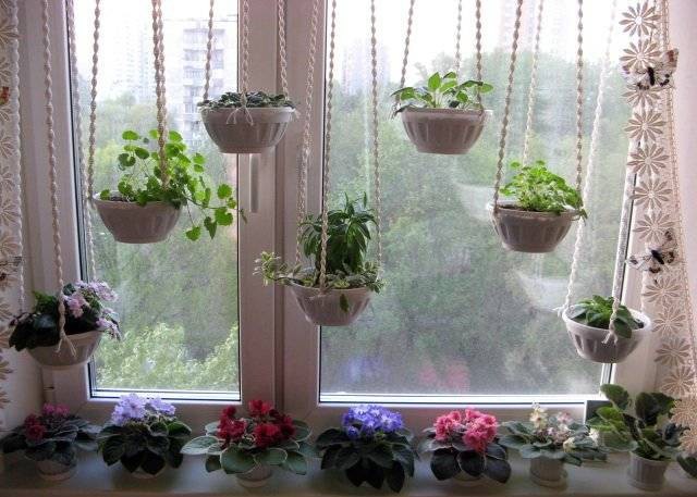 Originele raamdecoratie met planten