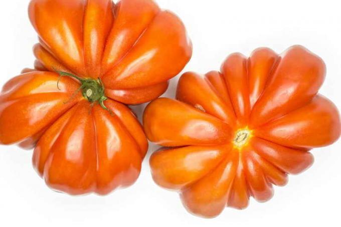 De geheimen van de teelt van tomaten "beef heart"