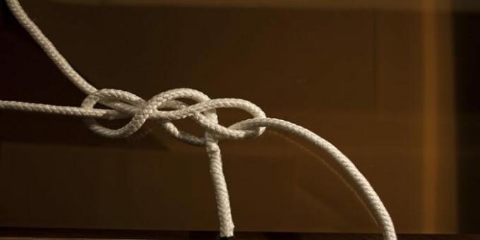 Voor de twee kabels. | Foto: biomolecula.ru.