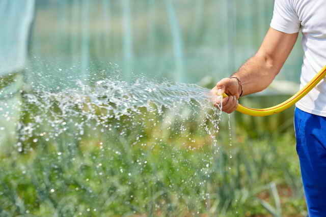 Laat het water niet sparen voor irrigatie. Illustratie voor een artikel wordt gebruikt voor een standaard licentie © ofazende.ru