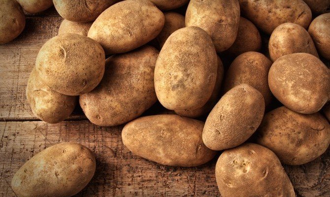 Hoe en wanneer je moet graven de aardappelen, zodat ze alle opgeslagen winter