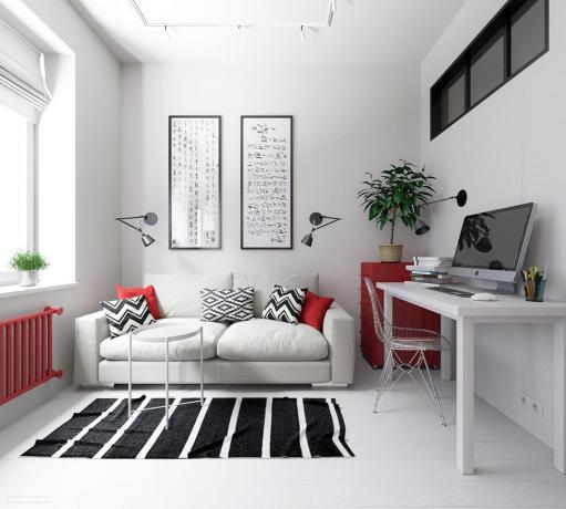 Hoe om kleur toe te voegen aan zwart-wit interieur: 7 ideeën van ontwerpers