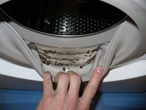 Hoe zich te ontdoen van schimmel en muffe geur in de wasmachine