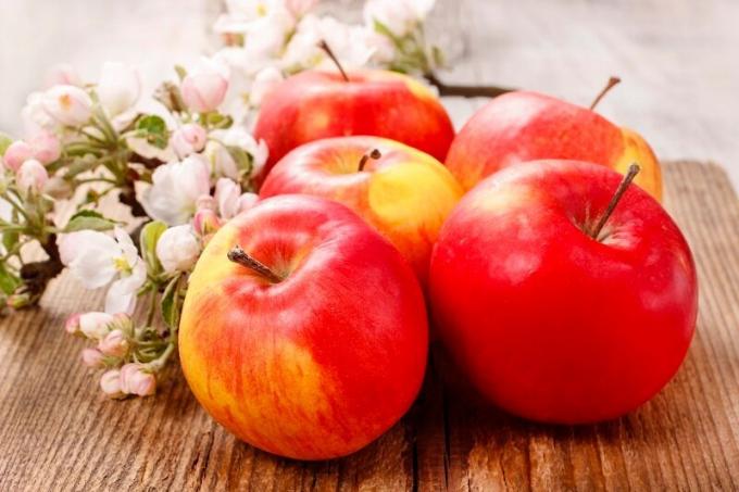 Aanplant en verzorging van zuilvormige appelboom