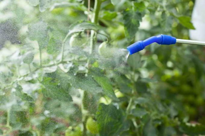 Het gebruik van kopersulfaat in de tuin