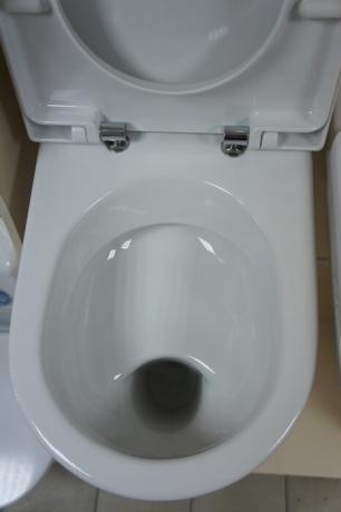 Toilet met een "shelf" of "plate".