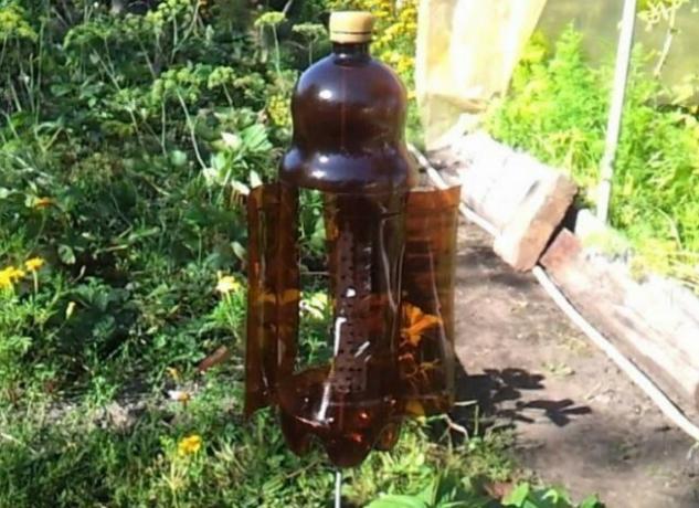 Praktisch gebruik van plastic flessen in de tuin (deel 2)